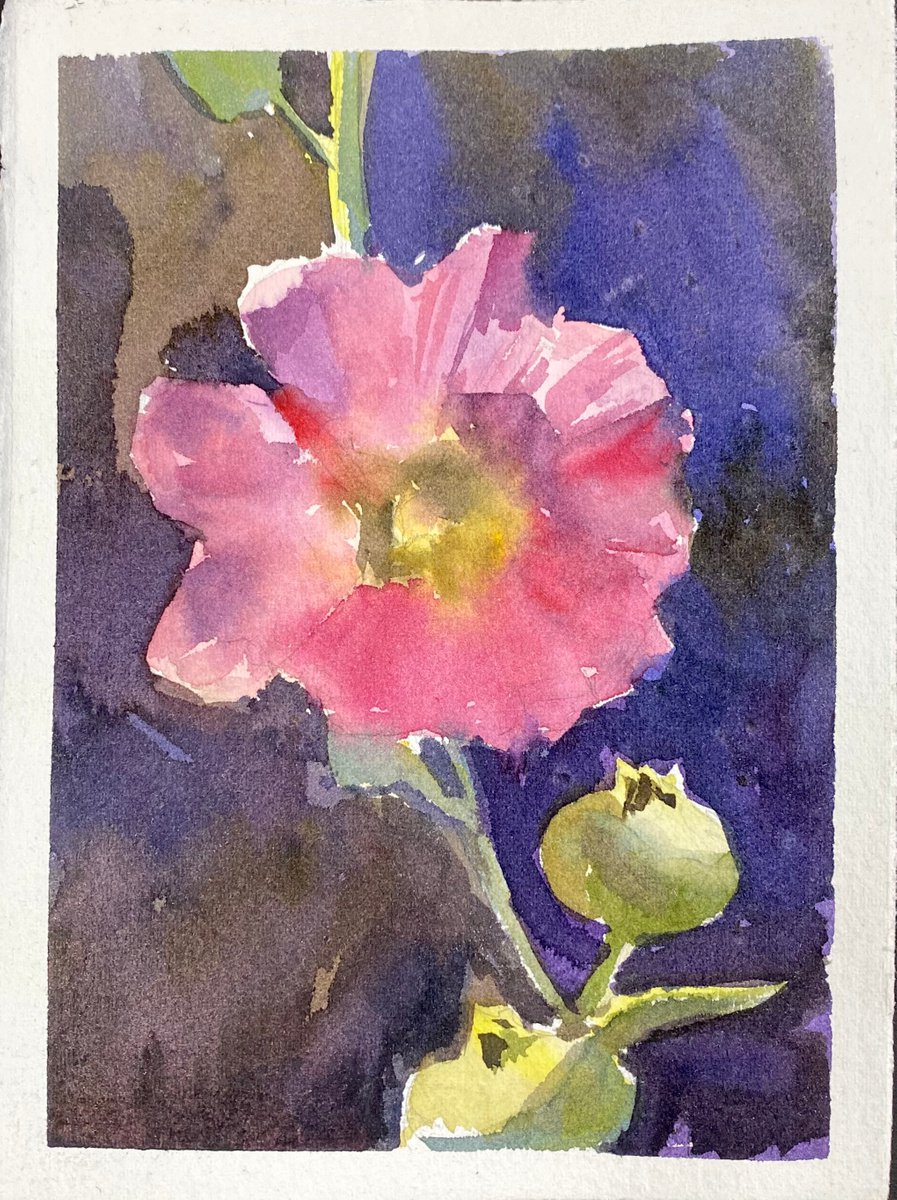Pink flower and strong sunlight| little watercolor etude by Nataliia Nosyk