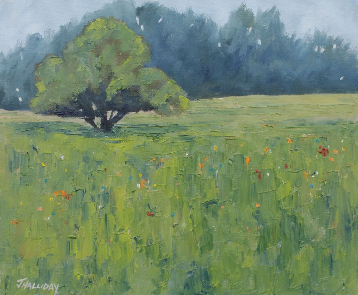 Meadow by John Halliday