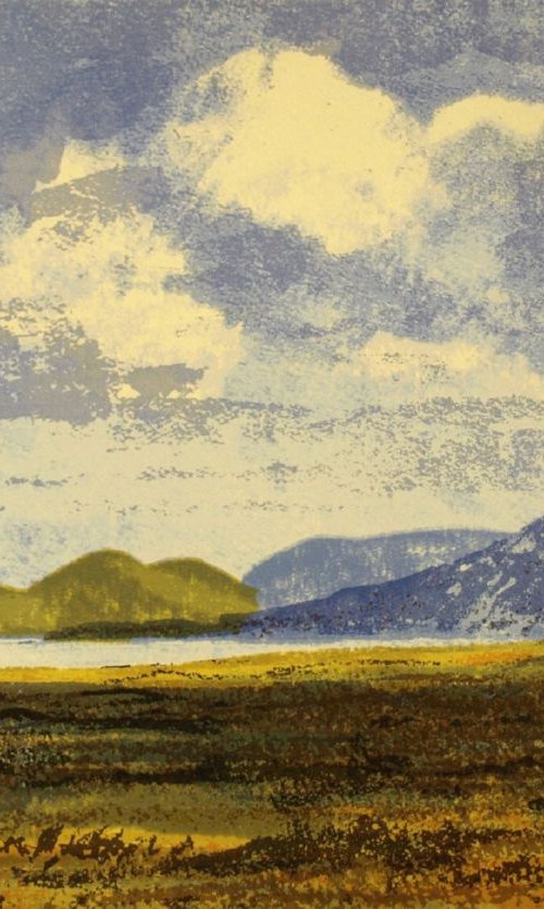 Fogher Cliffs, Valentia Island by Aidan Flanagan Irish Landscapes