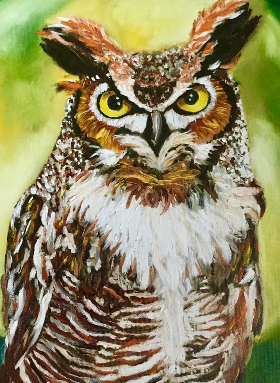 Owl, the night is silent.