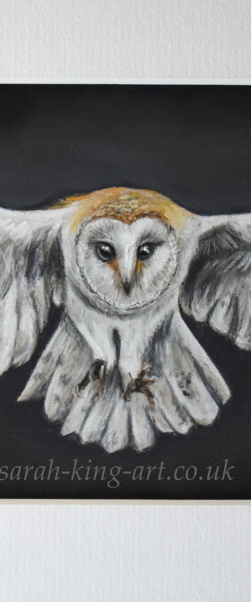 Barn owl in flight by Sarah King