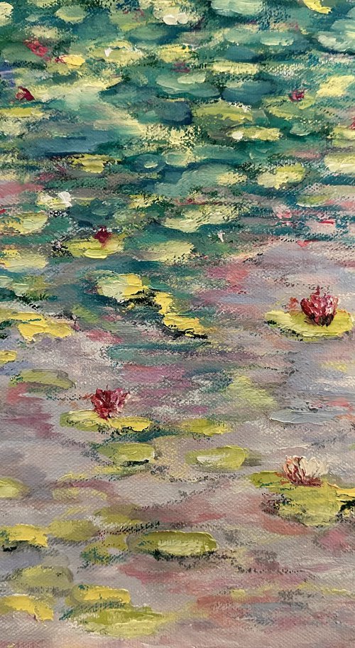 French Lilly Pond by Clare Hoath