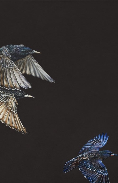 Patterns of the Unseen by Natalie Toplass