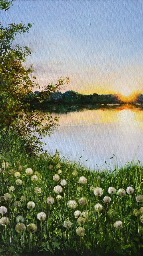 Dandelion Meadow at Sunset by Natalia Shaykina