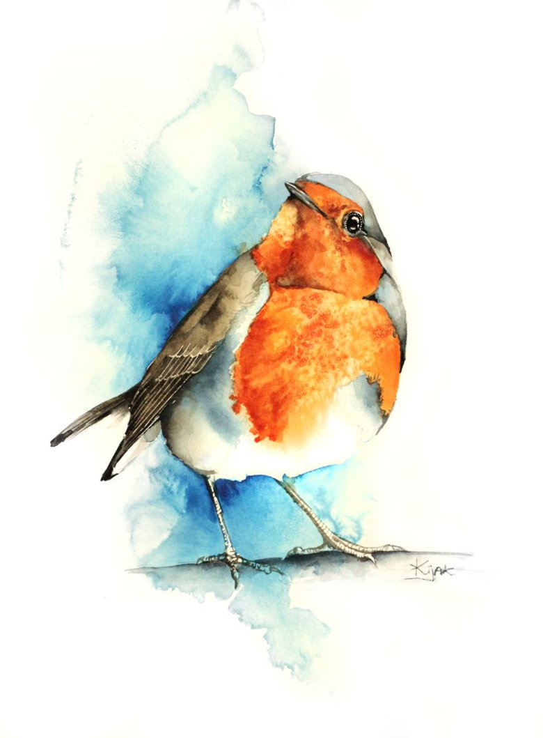 Robin, wildlife, birds and nature watercolour Watercolour by Karolina