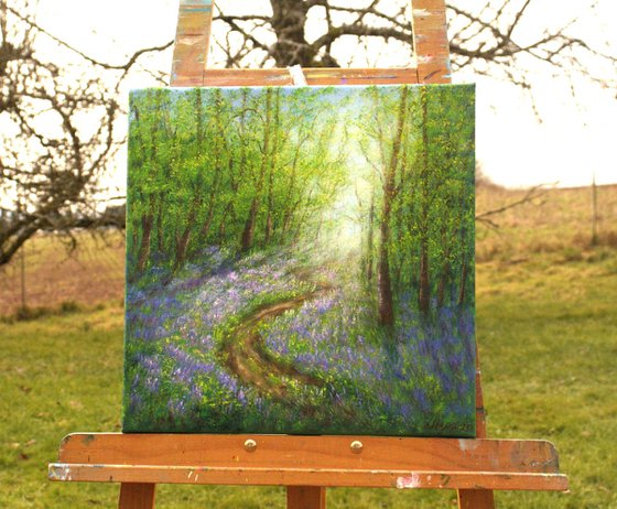 Bluebell forest