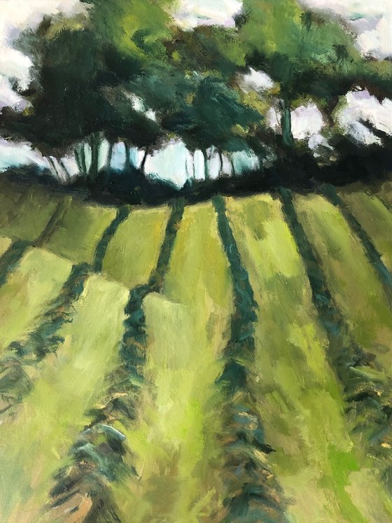 Harvest