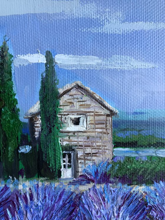 Provence, Lavender field 4 on canvas landscape art