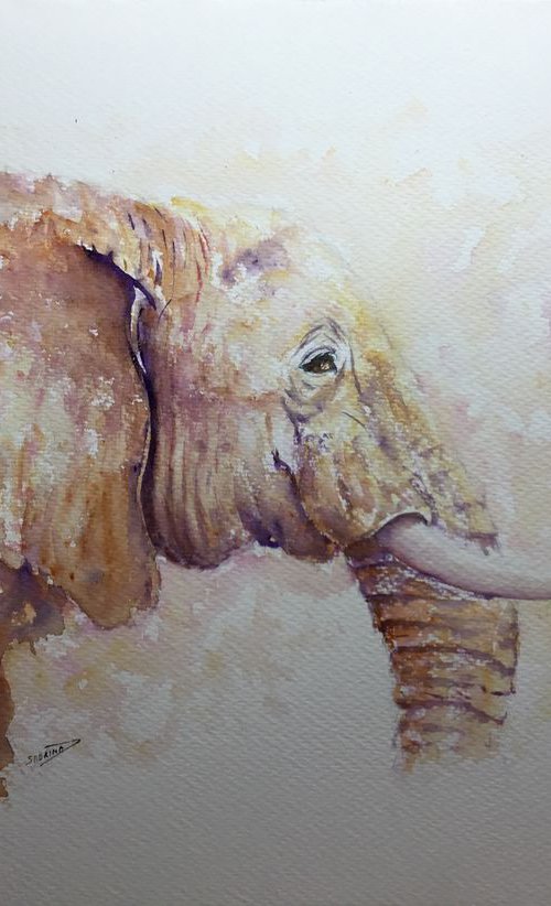 Elephant portrait by Sabrina’s Art