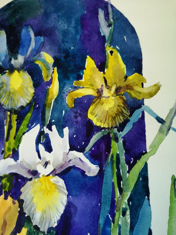 Irises