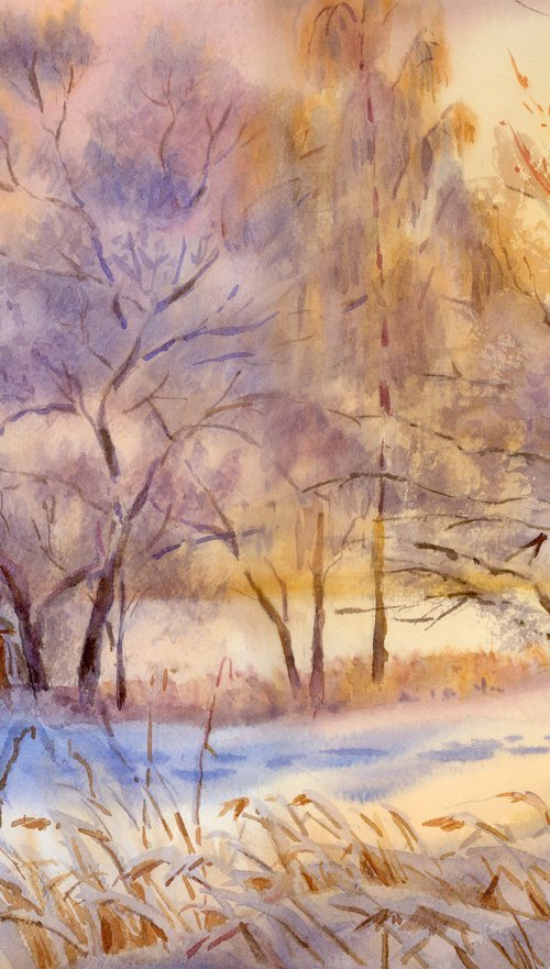 Winter sunset by Yulia Krasnov