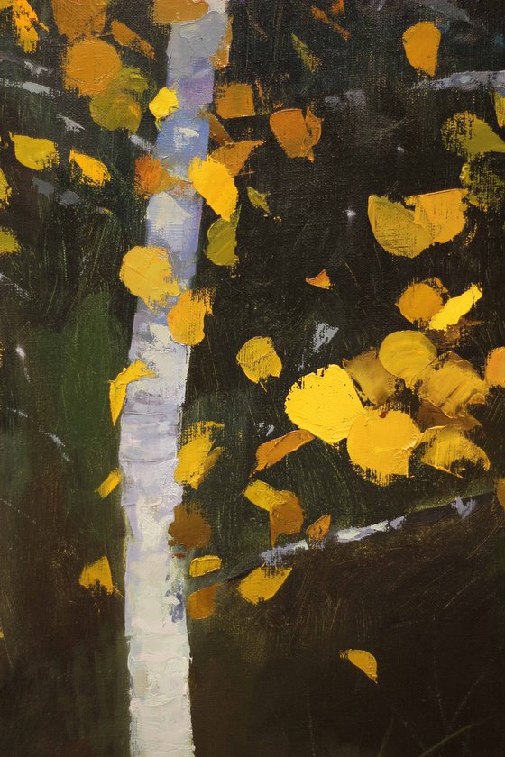 Golden aspens