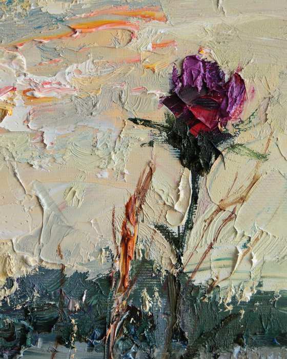 Evening Wildflowers
