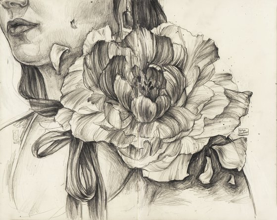 NIGHT PEONY DRAWING