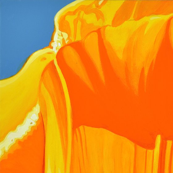 Californian Poppy and Wind #4