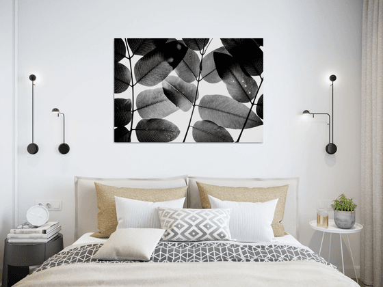 Experiments with Leaves II | Limited Edition Fine Art Print 1 of 10 | 90 x 60 cm