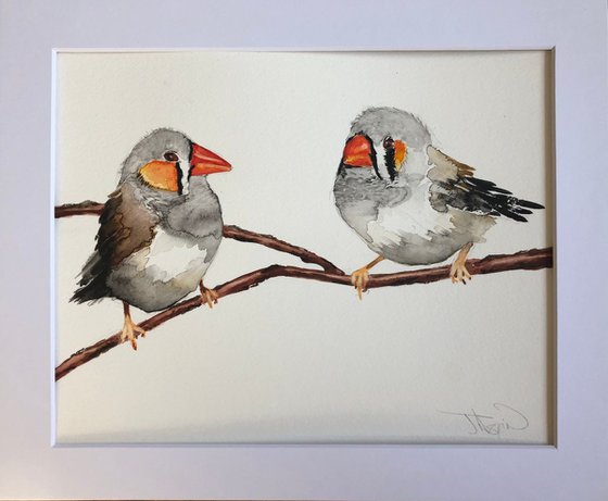 Finches