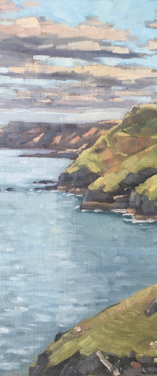 Fading light, North Cornwall by Louise Gillard