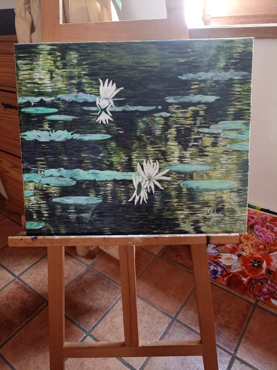 Waterlilies 2