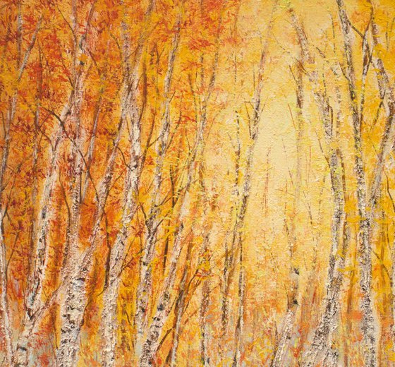 Autumn birch trees forest