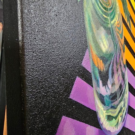 Rainbow Chrysanthemums