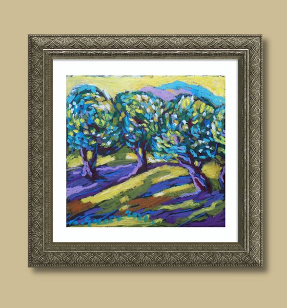 Olive grove No 32