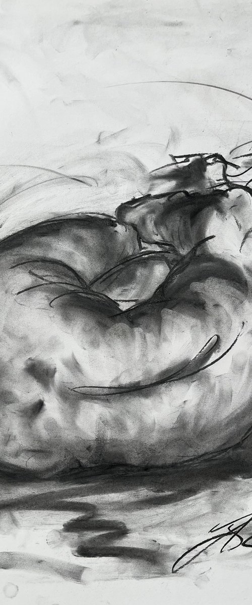 Sleep by James Shipton