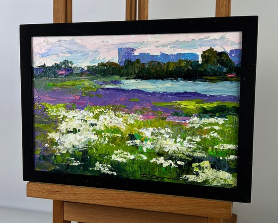 Meadows of Growing Flowers