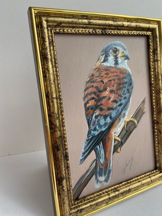 Bird Oil Painting American Kestrel framed 16x20cm 6x8inch