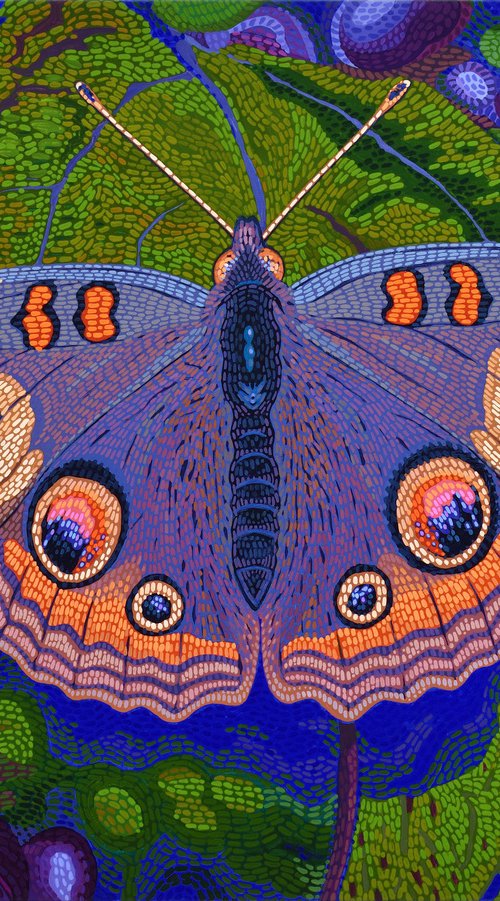 Buckeye Butterfly by Alex Nizovsky