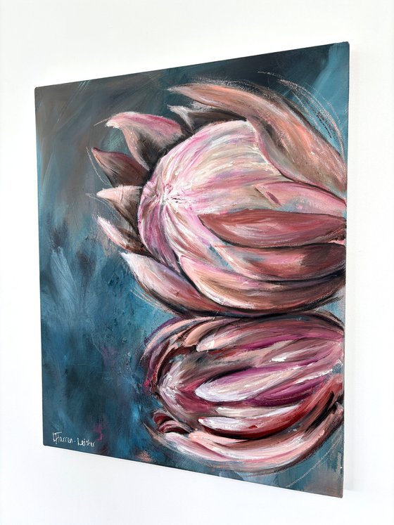 Proteas in Stillness