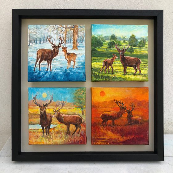 Richmond Park four seasons