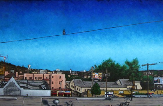 "Birds Outside My Window"