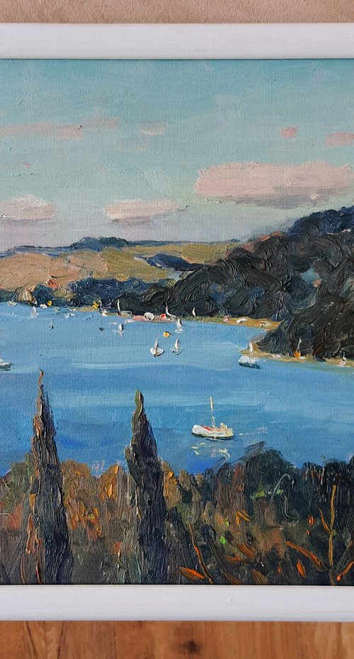Salcombe Estuary from Overbeck's by Roberto Ponte
