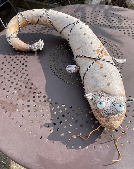 THE CATFISH OF GALATEA