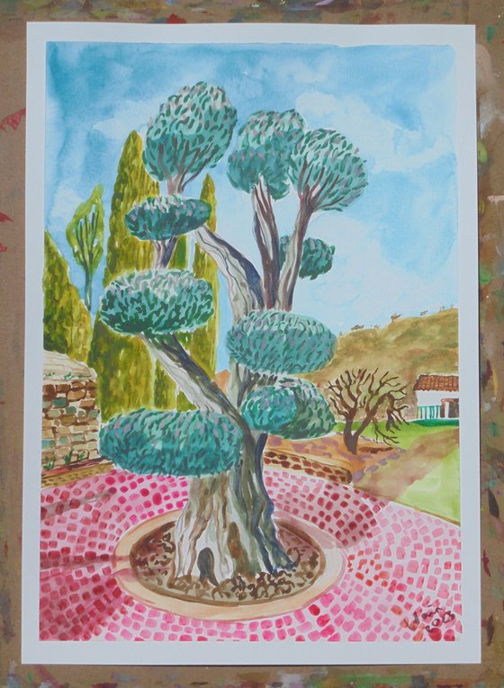 Olive tree in Benhavis park