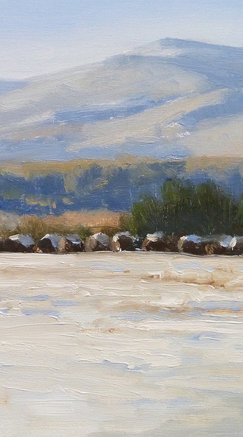 Row of haystacks under snow by Pascal Giroud