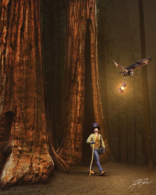 Redwood Compass II by Tony Fowler