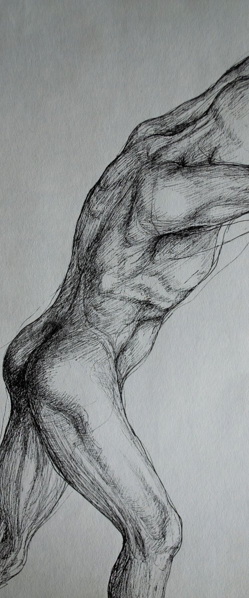 Male Nude Study by Nikola Ivanovic