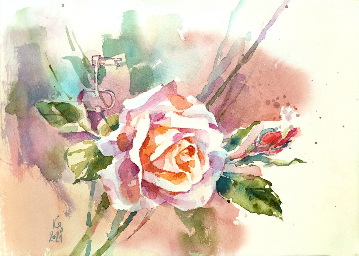 Original watercolor painting Rose. The romance of the garden by Ksenia Selianko