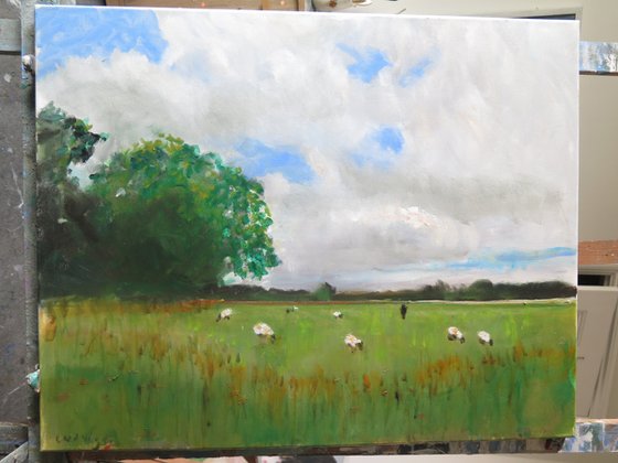 Tilmire Common