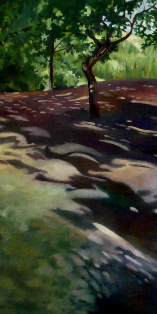 Epping Forest Shadows by Alison  Chaplin