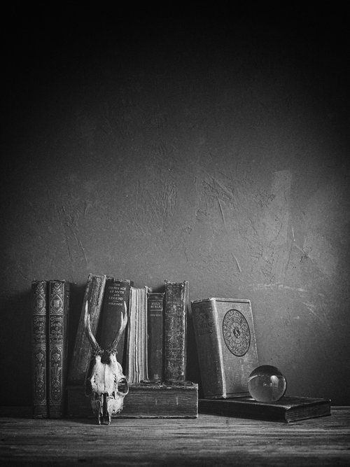 the alchemists shelf by Marcus Scott