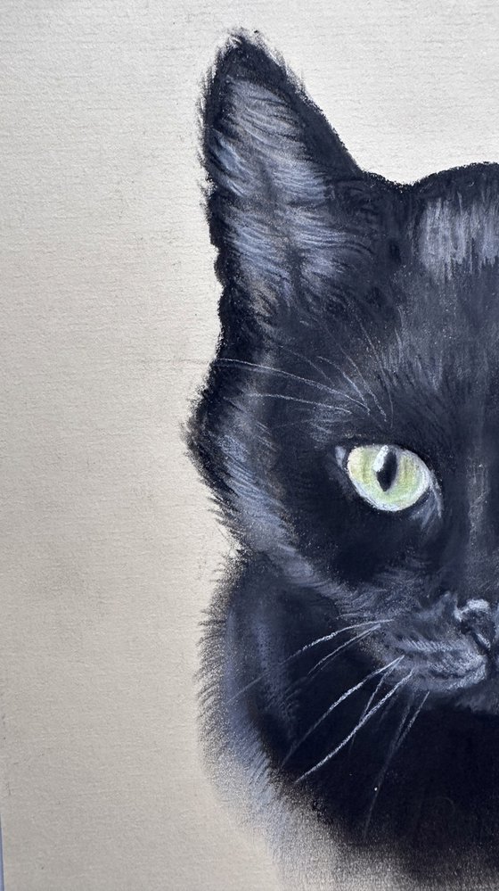 Portrait of Black Cat with Green Eyes