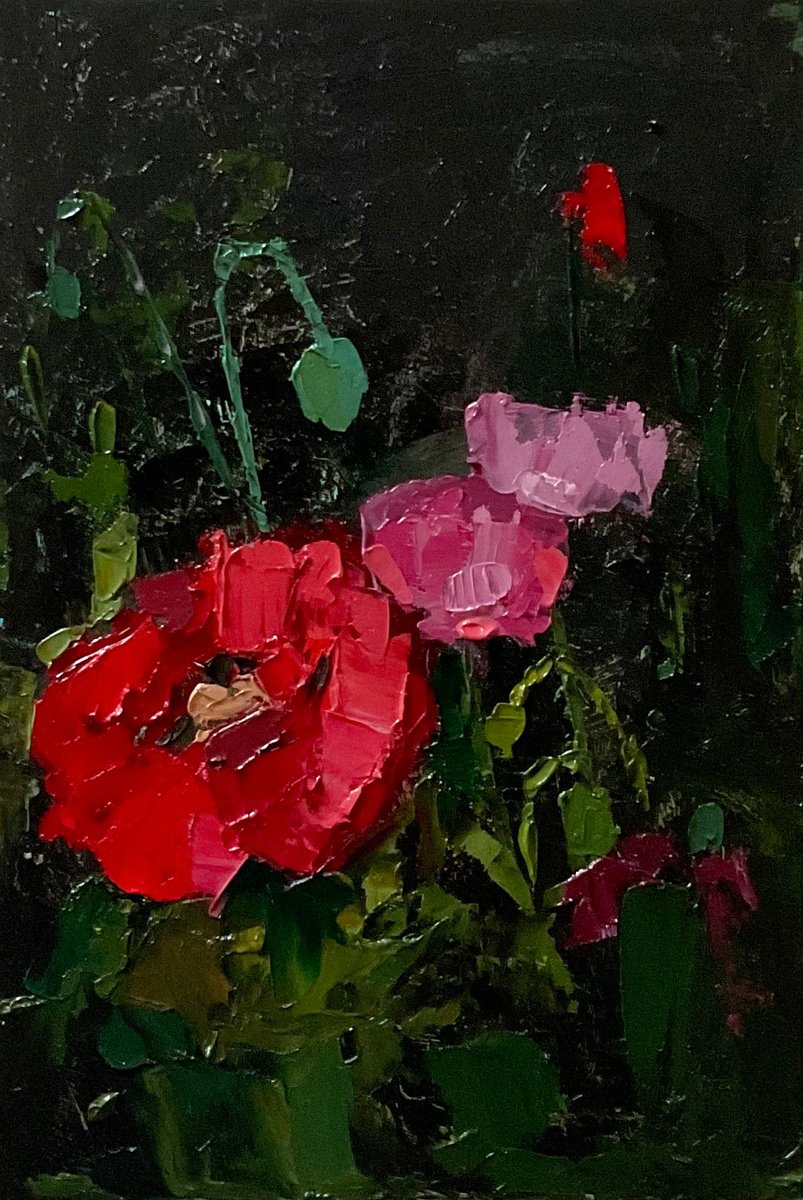 Night Poppies By Vera Klimova, 8 X 11, Artwork For Sale On Artfinder