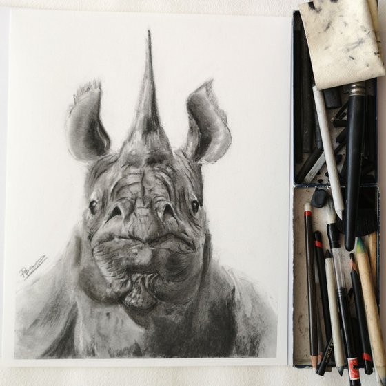 Rhinoceros