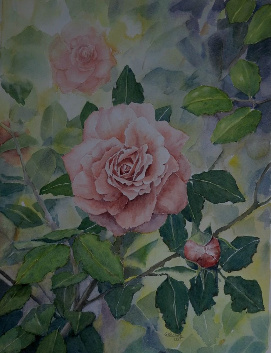 roses by Gerard Kramer