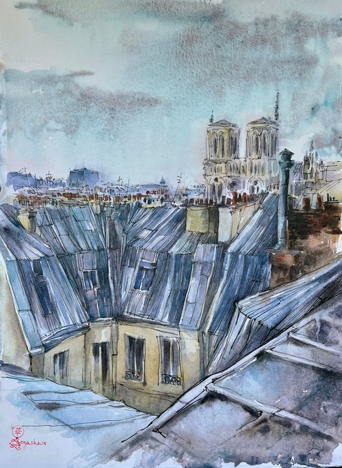Parisian roofs by Larissa Rogacheva