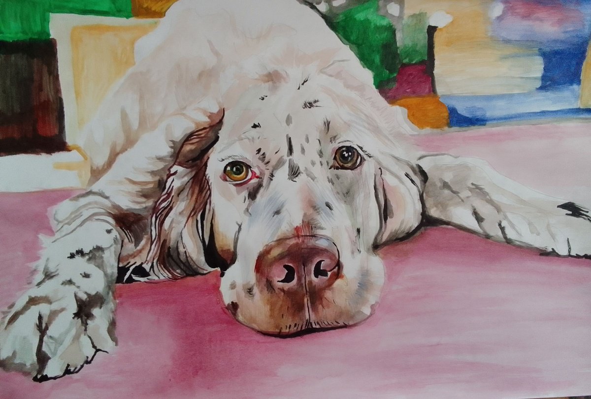 Photorealistic Animal Acrylic Painting By Soso Kumsiashvili, 33 X 22", English Setter Lawerack, Original Artwork