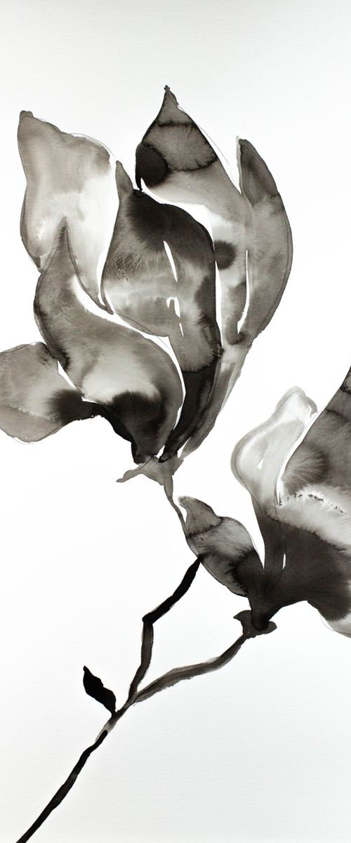 Magnolia No. 18 by Elizabeth Becker